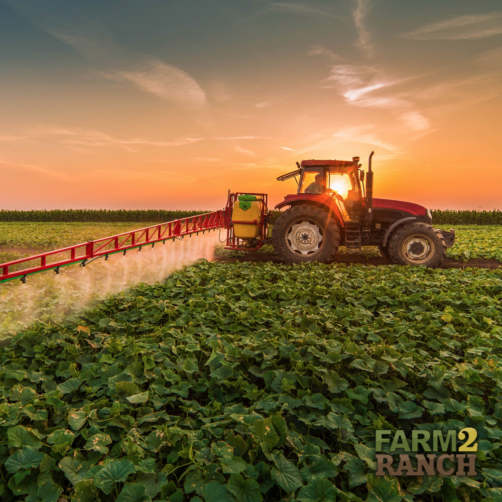 farm2_ranch's tweet photo. "The farmer has to be an optimist or he wouldn't still be a farmer." - Will Rogers

#farm2ranch #usedag #agriculture #letsgrowtogether https://t.co/2WaTautBq5