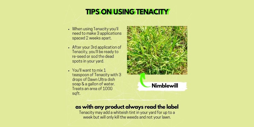 GreenVelvetSod's tweet photo. Turf Tip Tuesday: Dealing with #Nimblewill & other hard to control weeds! Swipe through for tips n tricks on how to use Tenacity to defeat the weeds!β
#TurfTuesday #TurfTip #Weeds #TurfProblems https://t.co/dGUHVifOPx