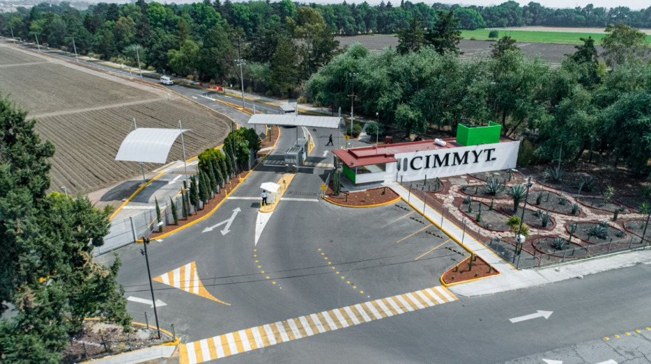 CIMMYT's tweet photo. Can’t travel? Take a virtual tour of CIMMYT’s El Batán Experimental Station, located at headquarters close to #Mexico City: https://t.co/eX4pX9bngG 

#Texcoco #research #agriculture #maize #wheat https://t.co/oNMGZ9pbvy