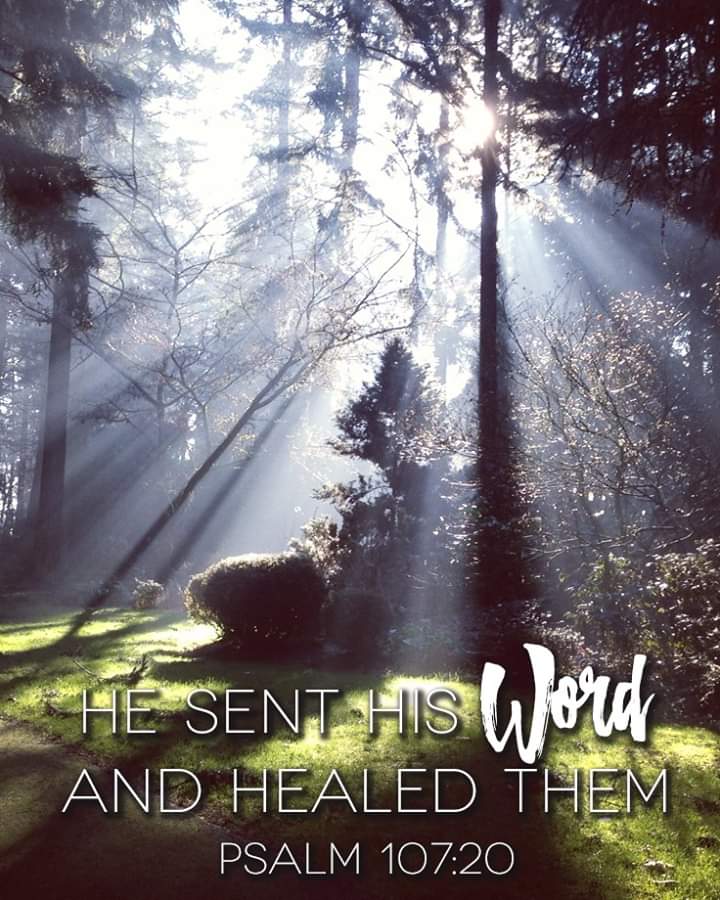 IsaiahProphetic's tweet photo. Hallelujah! 🙌 Praise God. God is still our Healer of healers! Amen. Jehovah Rapha is God's name of healing! Amen. Trust God's word. Wow; He's our Great Physician of physicians &amp; Great Doctor of doctors! https://t.co/eBE90gp9QD
