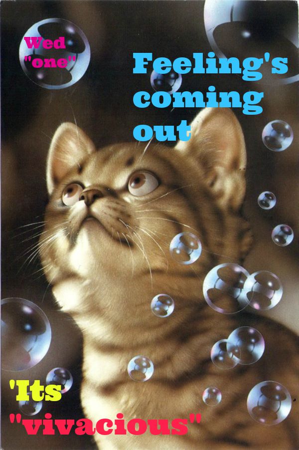 kittyguy77's tweet image. any one out there like to do a cancer end of life story (mine) have to get funds for expenses from somewhere .78 is and insder Oshawa ont Canada messege me