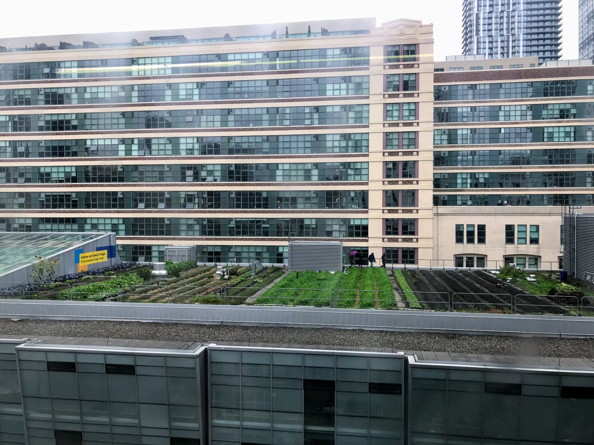 Green roofs lower a building’s energy costs, reduce the urban heat island effect, manage stormwater, improve air quality, boost urban biodiversity, and increase property values. But there is one benefit that is rarely taken advantage of… food production! livingarchitecturemonitor.com/news