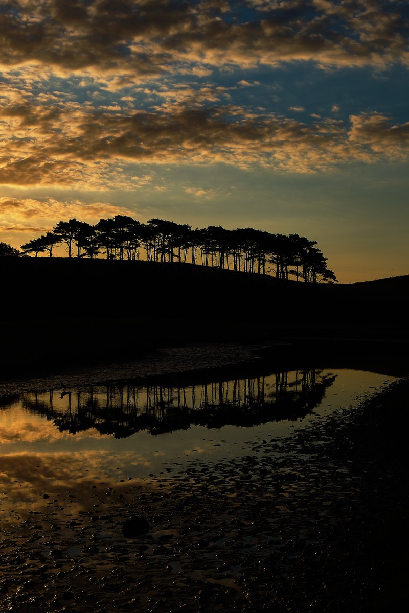 ๐ฑ๐๐ ๐ฉ๐๐๐๐๐ (@exesmokehouse) on Twitter photo Probably the most famous view of Budleigh Salterton, a stand of Scots Pine trees on the cliffs @FujifilmX_UK X-Pro2 & XF16-55 lens. Portrait - needs a click <a href="/DevonLife/">Devon Life</a> @EastDevonAONB <a href="/eastdevonhour/">#EastDevonHour</a> <a href="/Devon_Hour/">#DevonHour</a> <a href="/wildeastdevon/">Wild East Devon</a> <a href="/ThePhotoHour/">#ThePhotoHour</a> @The_Fotoholics jimbphotography.co.uk Probably the most famous view of Budleigh Salterton, a stand of Scots Pine trees on the cliffs @FujifilmX_UK X-Pro2 & XF16-55 lens. Portrait - needs a click <a href="/DevonLife/">Devon Life</a> @EastDevonAONB <a href="/eastdevonhour/">#EastDevonHour</a> <a href="/Devon_Hour/">#DevonHour</a> <a href="/wildeastdevon/">Wild East Devon</a> <a href="/ThePhotoHour/">#ThePhotoHour</a> @The_Fotoholics jimbphotography.co.uk