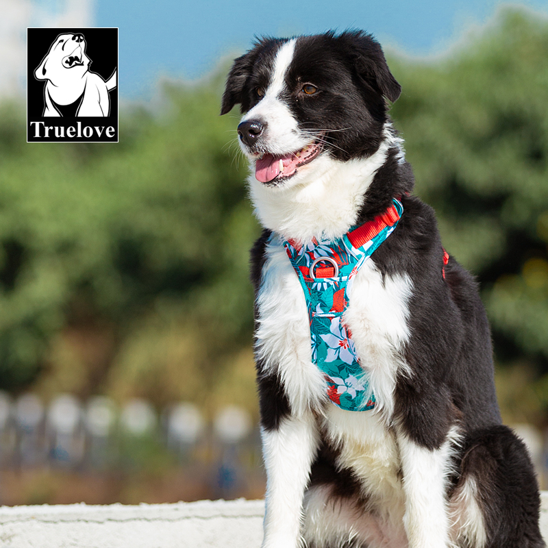 ThatDogUK's tweet photo. Getting #summer vibes? Look no further!
Truelove Special Hawaiian Edition #dog #harness #dogsoftwitter 
https://t.co/Vg4ZYAMQSP https://t.co/GY3z7K9J1S