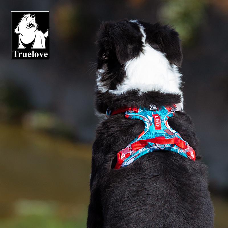 ThatDogUK's tweet photo. Getting #summer vibes? Look no further!
Truelove Special Hawaiian Edition #dog #harness #dogsoftwitter 
https://t.co/Vg4ZYAMQSP https://t.co/GY3z7K9J1S