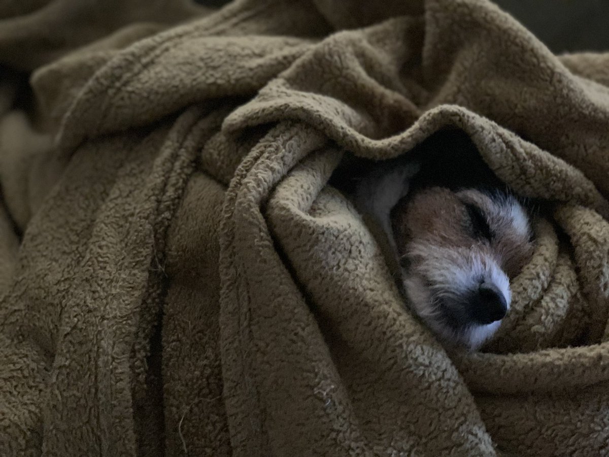 FRAHM Jacket tweet media