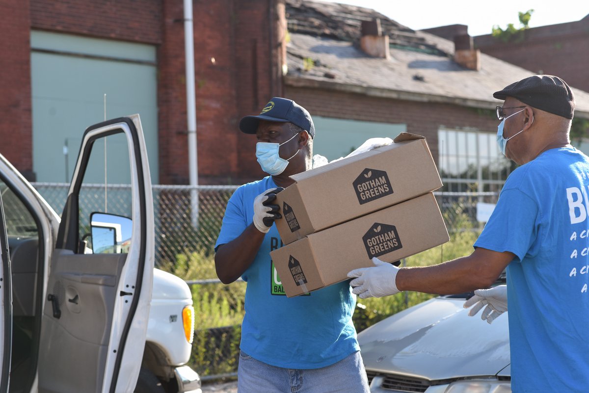 City Seeds tweet media