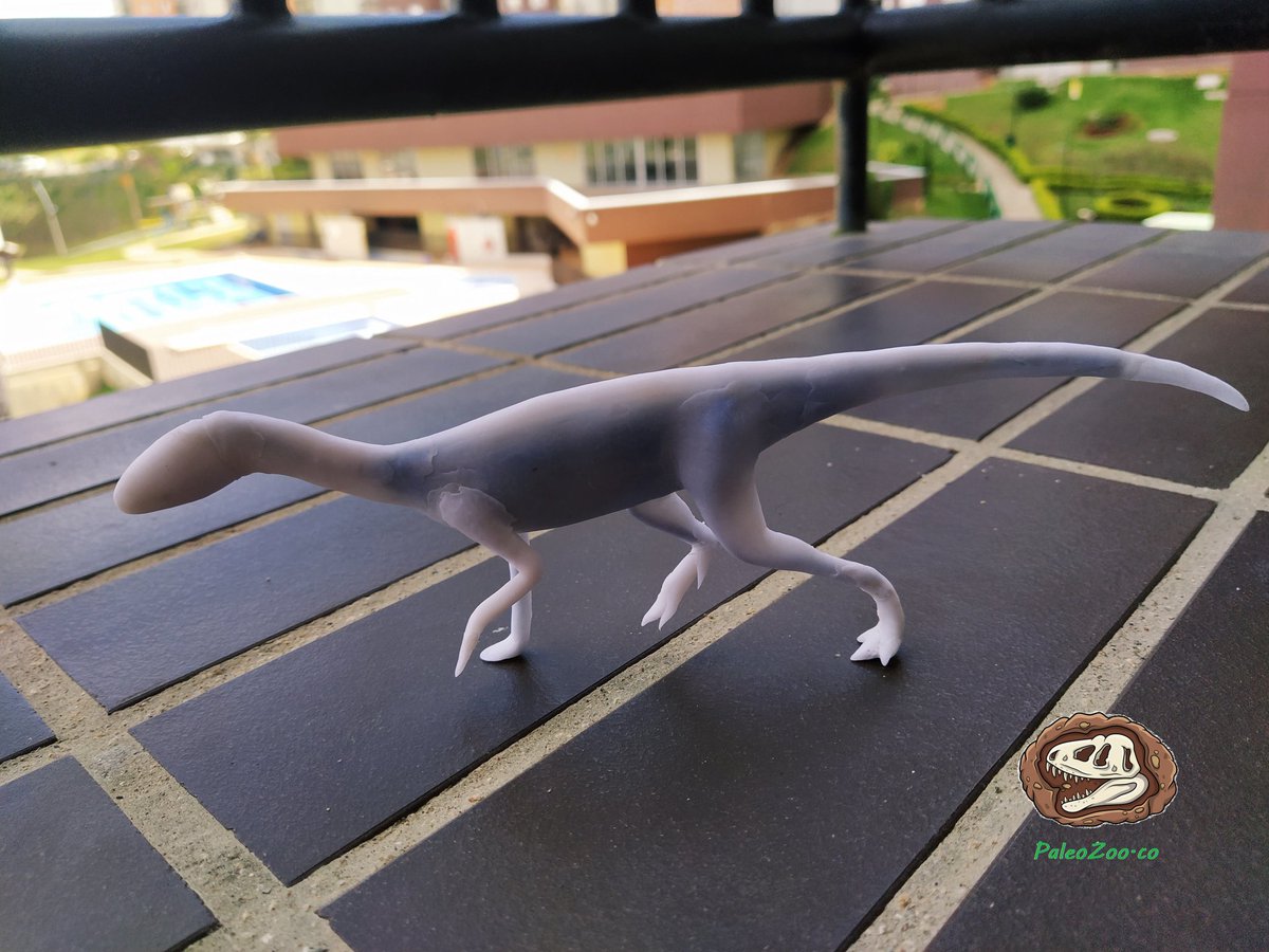 AlejoMBGO's tweet photo. Silesaurus opolensis - preliminar.
#mesozoic #mesozoiccreatures #paleoart #paleoarte #archosaur #arcosaurio #esculturas #dinosaurios #dinosaurs #arteamateur #amateurartist #silesaurus #reptiles #arcosaurios #reptil #paleontologia #zoologia #paleontologist #zoologist https://t.co/aHNqkdXl05