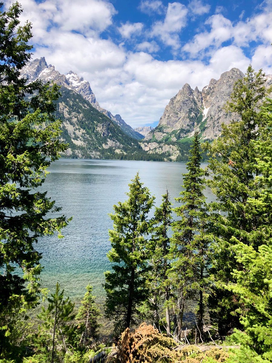 joebonsall's tweet photo. I so love this @wlgolden photo of Jenny Lake in Tetons National Park that he took a week ago ... https://t.co/drlffuO7cb