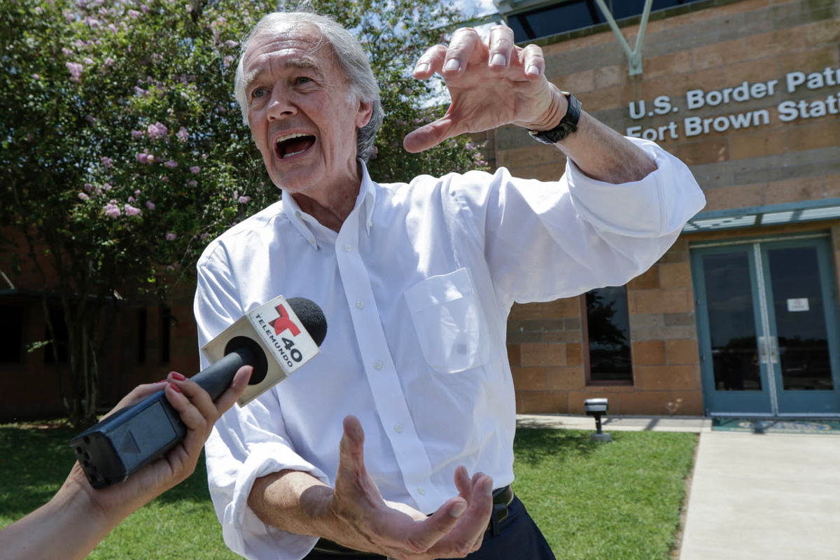 ed markey as hedgehogs: a thread