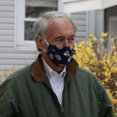 ed markey as hedgehogs: a thread