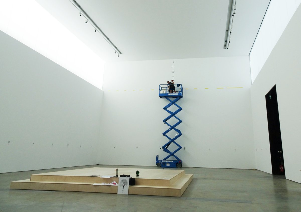 katieholten's tweet photo. The #IrishTreeAlphabet is taking root @VisualCarlow. Here's a secret message being installed, sprouting on the massive gallery wall. It's drawn/written in the new Ogham typeface from the #IrishTrees font family. 🌱 https://t.co/I60J96R68U
