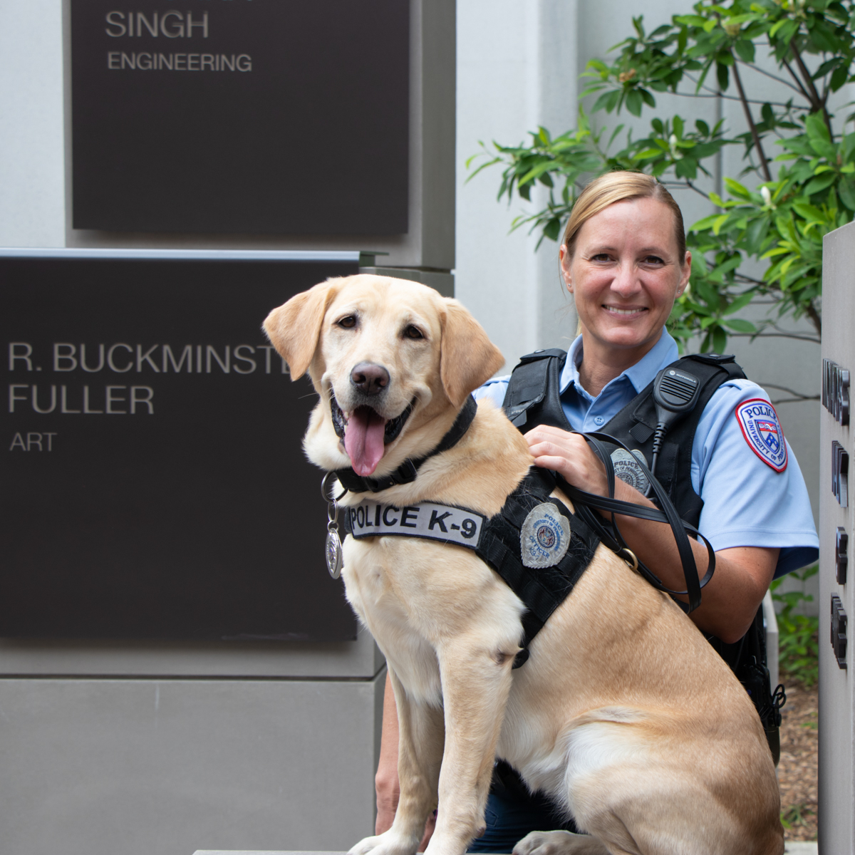 Canine Officer Socks tweet media