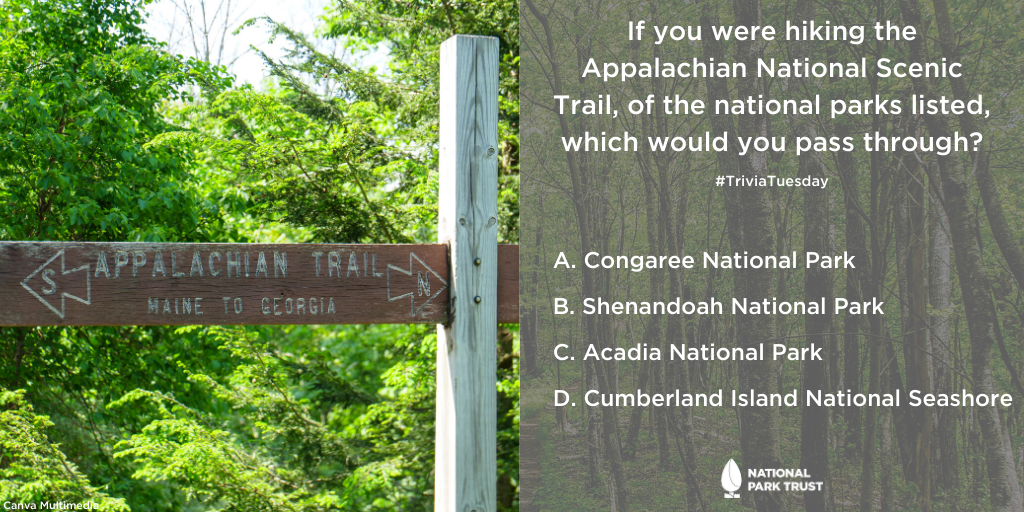 NatParkTrust's tweet photo. Time for #TriviaTuesday! It’s easy to enter: Tag a friend and answer the trivia question in the replies - then retweet, like, and follow us for a chance to win a 
@HydroFlask  water bottle! Winner will be announce d on Thur. 7/23. (U.S. Residents Only)

#GiveawayAlert #Outdoors https://t.co/UPdT97XQgm