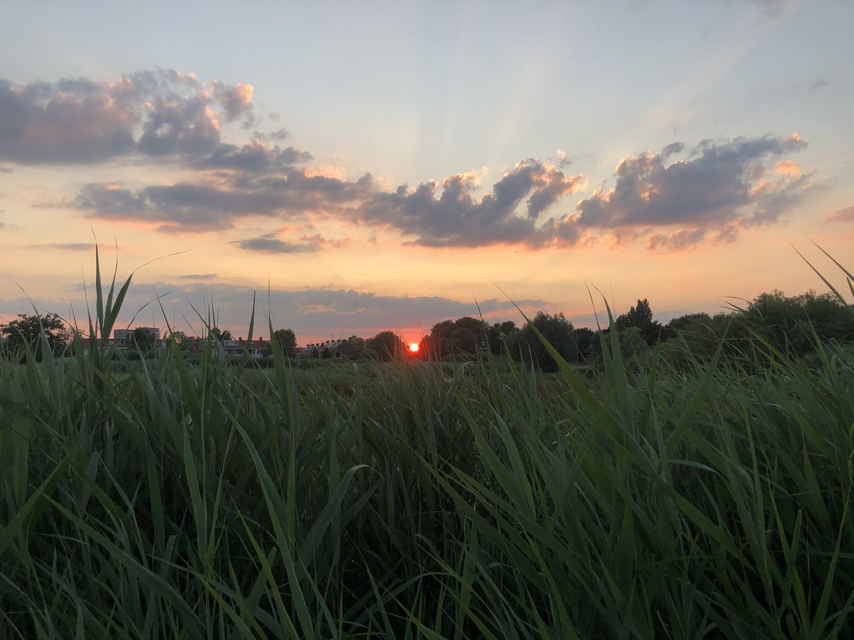 Zo. Hoofd leeg gerend :-) #rotterdam