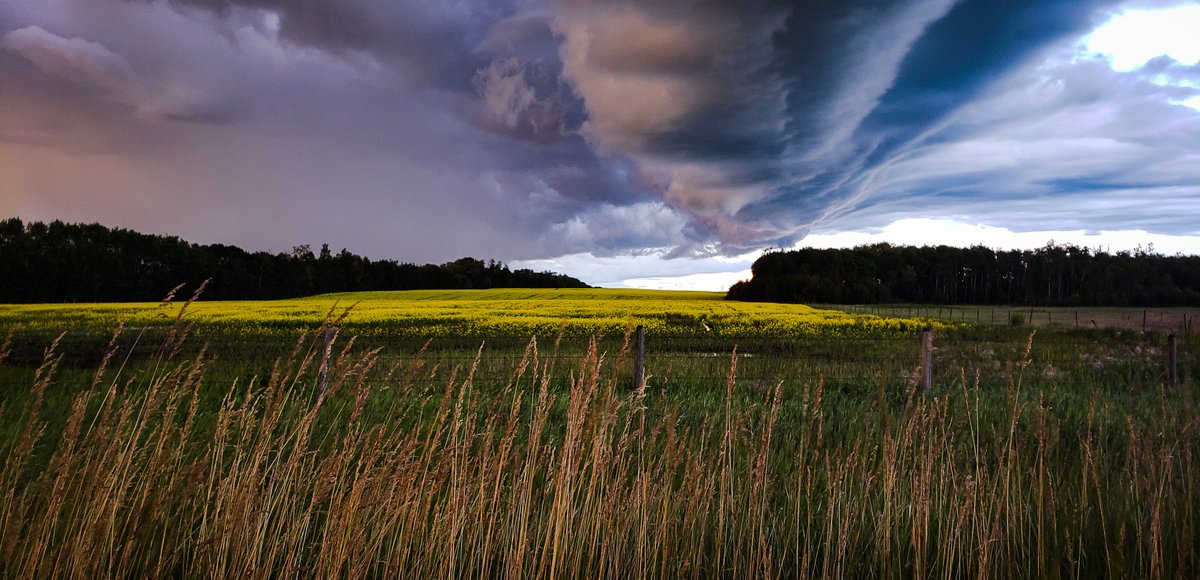 WanderlandPhoto's tweet photo. Alberta🌾

#albertaweather #abwx https://t.co/Wx3OeU8mN2