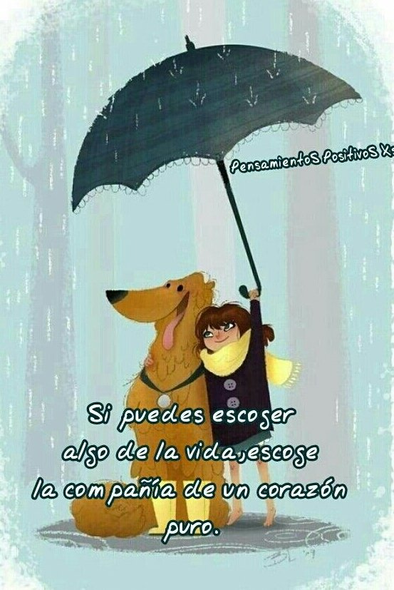 Mon_cet's tweet photo. #NoApruebenLaDictadura..
Hoy es el día mundial del perro
Seamos solidarios y el que pueda adoptar una mascota abandonada que lo haga,muchas buscan un hogar hoy!
Adopta! no compres 
RT
@AnimalParaiso 
@BlanquitaMontt 
@SnoopyRossental 
@PerrosPlazaHuem 
@F_GarrasyPatas 
@ibzvale https://t.co/y6XNiRaNok