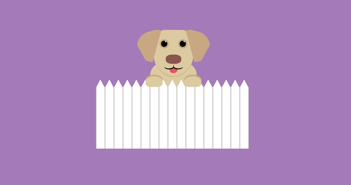 Day 67 - tonight's effort is 100% inspired by  @Emileee_Rose 's cute puppy Colby. Here he is in  @CodePen peeping over a picket fence to say hey   https://codepen.io/aitchiss/pen/MWKLYBN  #100daysProjectScotland  #100daysProjectScotland2020