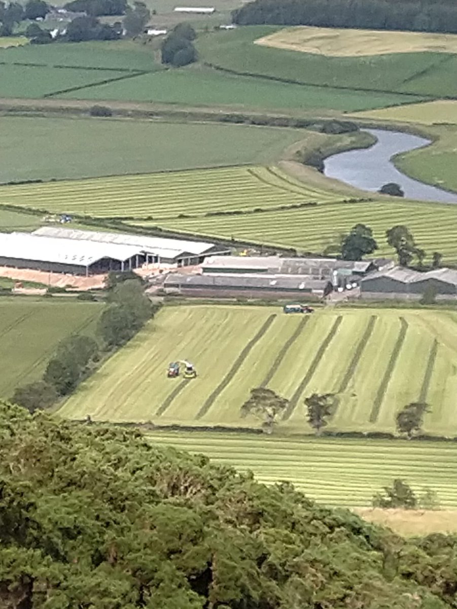 smallholmburn's tweet photo. Third cut in the pit, mowed Saturday and Sunday chopped Sunday and Monday. Decent crop for 34 days growth. Fert back on today 👌🏻 https://t.co/4AEkaVlDVZ