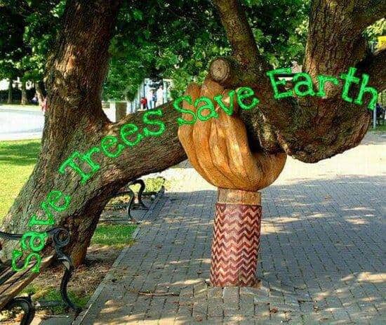 IkramKhanJI's tweet photo. " TREES need our Love &amp; Support !!! Let's give a helping hand &amp; Save trees save earth " 
#JusticeForTrees https://t.co/3YweRMwETL