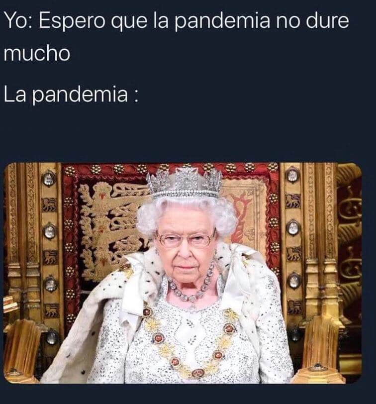 Margarina tweet media