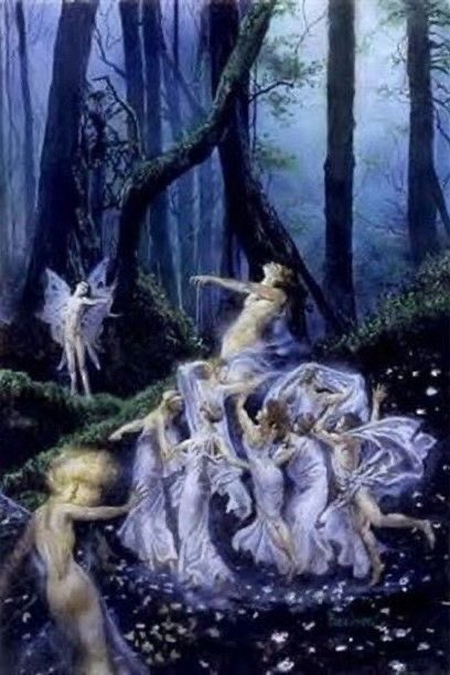 lagatta4739's tweet photo. @MarnaSilimbani @glolibri1 @lili_lor @maggievale @mariadicuonzo1 Bene Buonanotte Marna e tutte a giovedì! #elfiforever
Se uscite nei boschi li vedete!🧚♂️🧚🏻🧚♂️🧚🏻 https://t.co/kUWSQSfe65