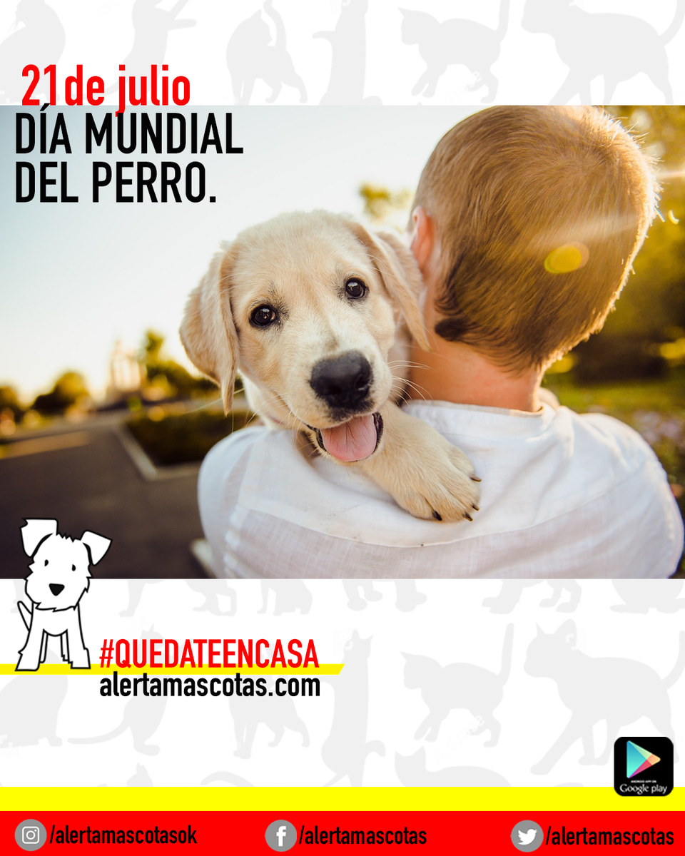 alertamascotas's tweet photo. Feliz día a ellos, a nuestros fieles amigos 🐕❤️.
.
#quedateencasa
.
.
Para Android descarga la app desde el Play Store.
Para iPhone ingresa a https://t.co/OOCOjfJize
NUNCA DEJES DE BUSCAR
#alertamascotas #diamundialdelperro #perro #felizdia #DiaDelPerro https://t.co/RFfKnLOO7s