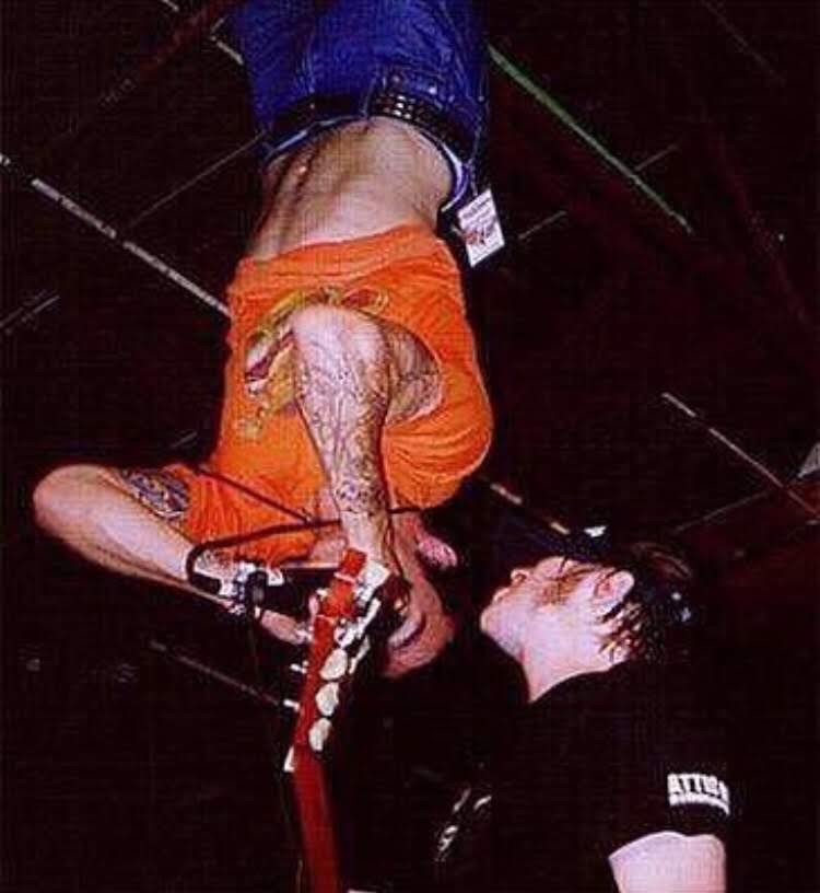 Artibeus Jamaicensis - also known as the Jamaican fruit bat