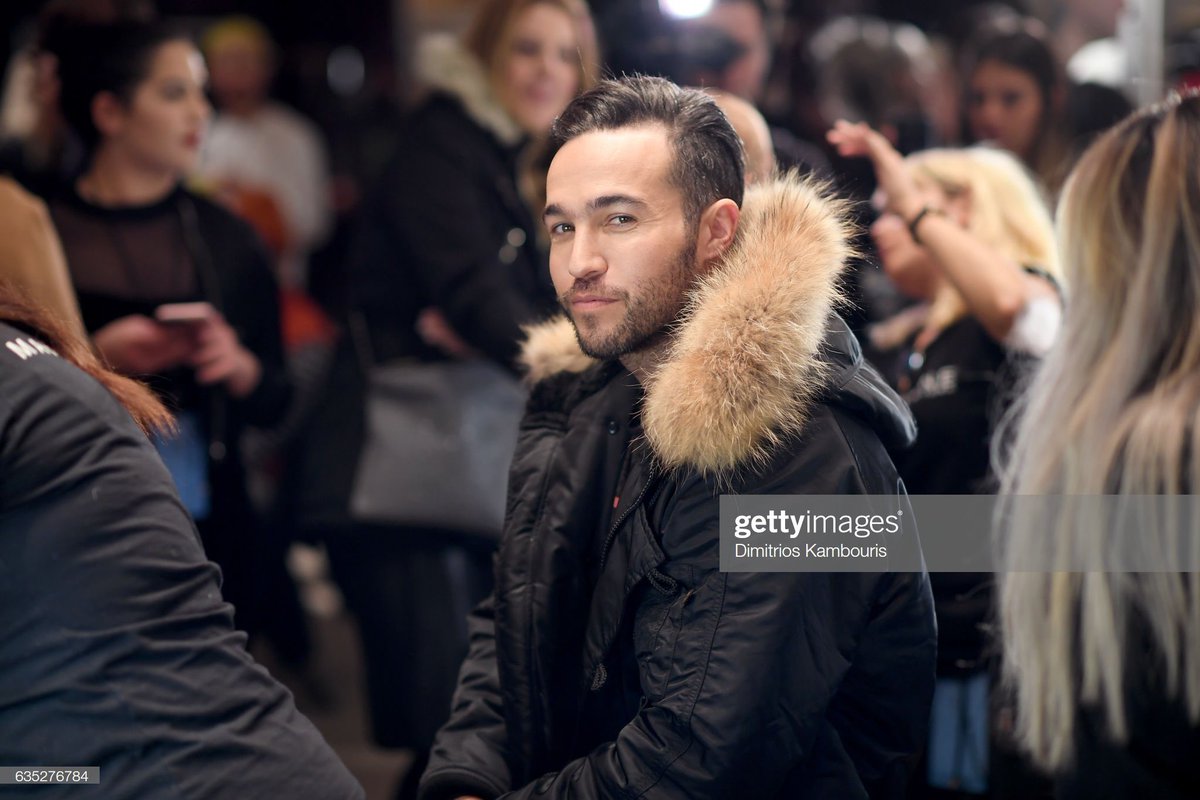 Lasiurus cinereus - also known as the hoary bat