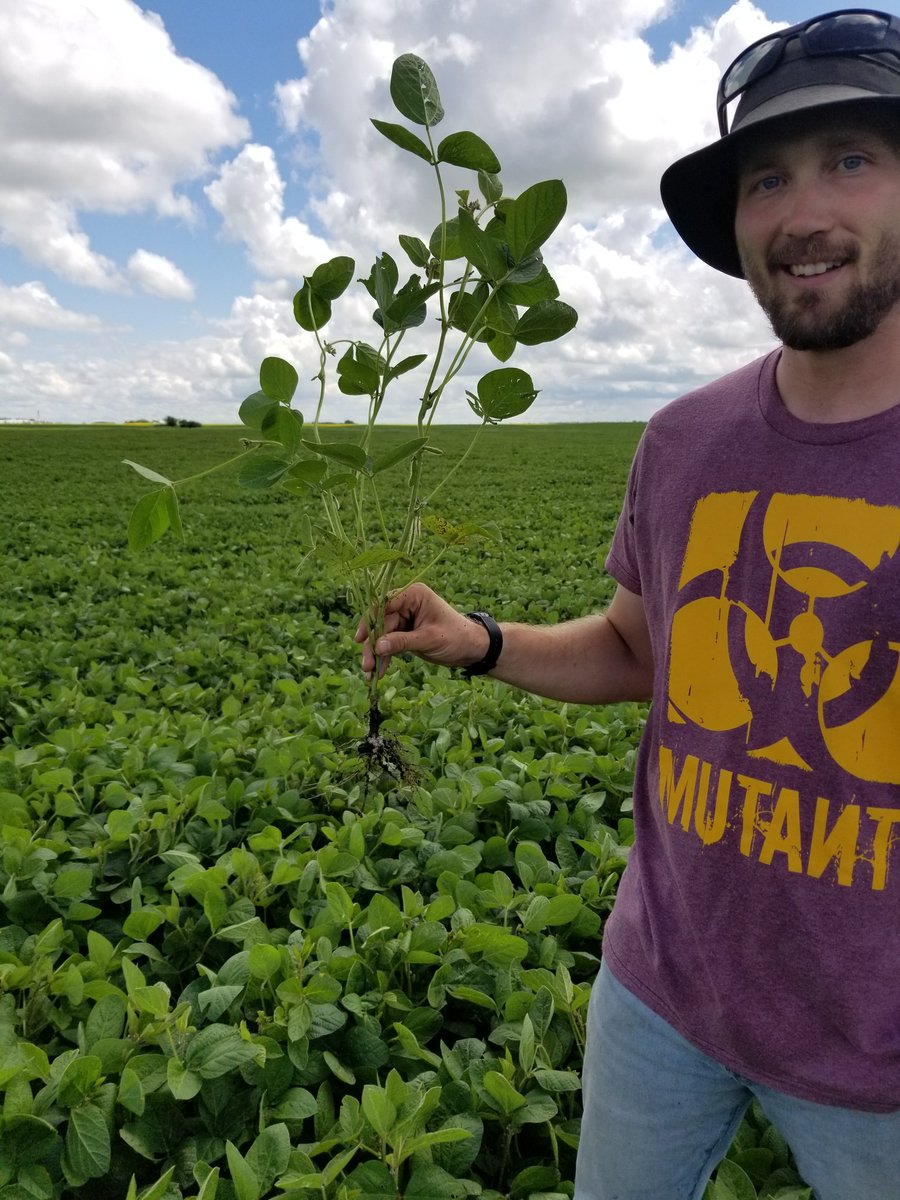 rempel_shawn's tweet image. That smile says it all! @InKfarms #Siberia #IPSoy #profitabilitypartner @Prograin_inc