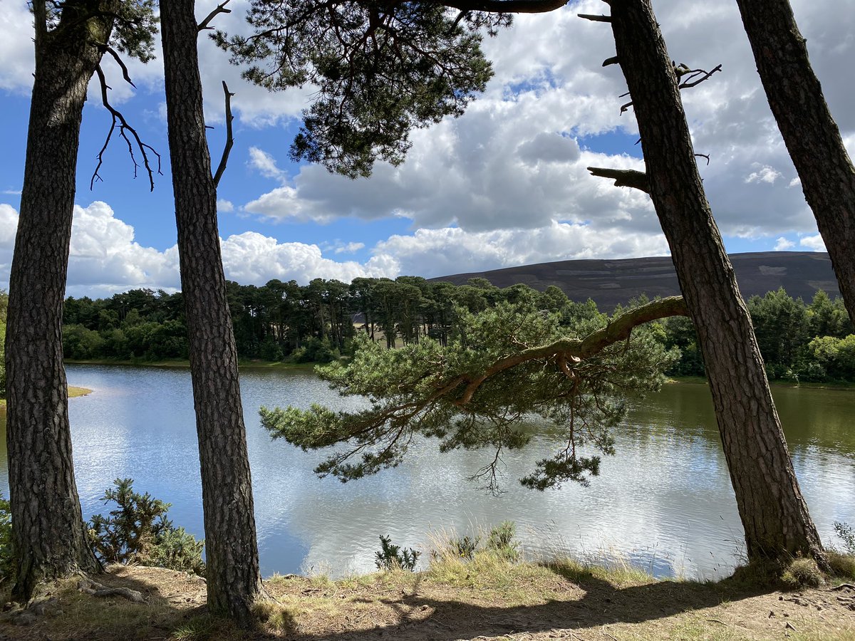 WillowcroftRJ's tweet photo. Nice walk around Thriepmuir & Harlaw reservoirs today #daily5k https://t.co/tAeavtX9CC