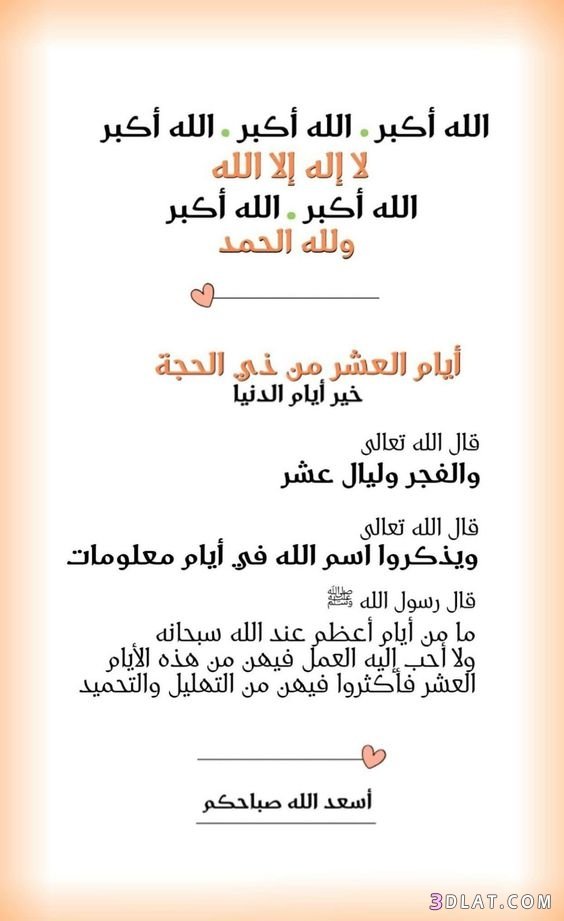 hammaaali's tweet photo. https://t.co/UYFdfKGWaz