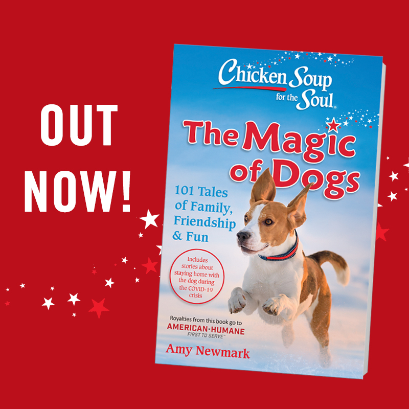 AmericanHumane's tweet photo. We don’t know how, but #dogs put us under a spell! @ChickenSoupSoul gathered 101 magical stories about our furry friends in Chicken Soup for the Soul: The Magic of Dogs, and royalties support American Humane! It’s available online or at your local retailer. #CSSTheMagicofDogs https://t.co/G8p0MjcHz5