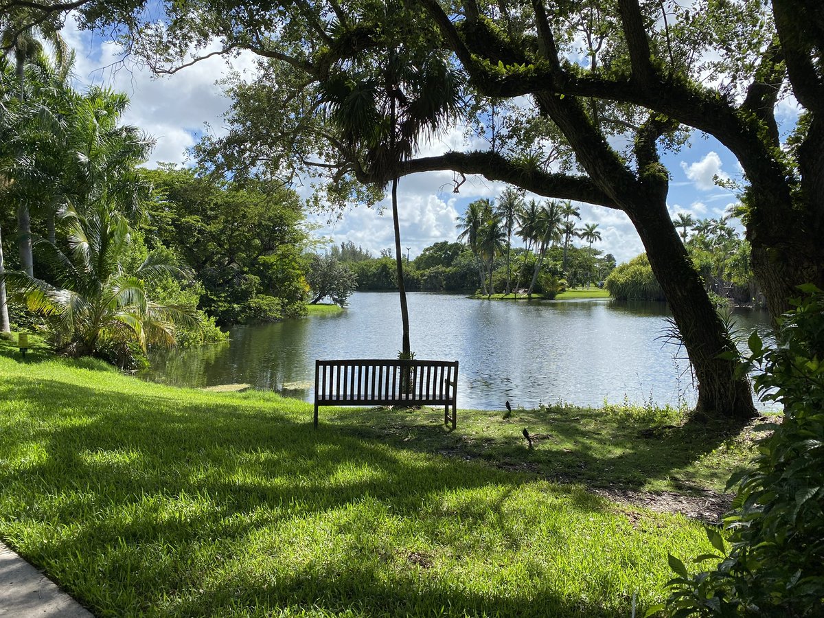 Regina Baraban (@gengotravel) on Twitter photo A visit to 83-acre Fairchild Garden in Coral Gables, Florida, soothes the soul in troubled times. Butterflies, flowering trees, tropical habitats from around the world, many peaceful spots. An all-ages treat. Check out Mango Days of Summer <a href="/FairchildGarden/">Fairchild Garden</a>. #bestgarden #nature A visit to 83-acre Fairchild Garden in Coral Gables, Florida, soothes the soul in troubled times. Butterflies, flowering trees, tropical habitats from around the world, many peaceful spots. An all-ages treat. Check out Mango Days of Summer <a href="/FairchildGarden/">Fairchild Garden</a>. #bestgarden #nature