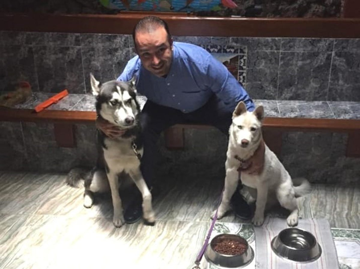 TassioEca's tweet photo. Los amigos peludos están hechos de puro corazón y una buena dosis de fidelidad.
Cuidemos de nuestros perritos: alimentación sana, techo e higiene.
¡Nunca olviden regresar el amor que tanto nos dan! 
#Husky y #Nube 🐺☁️
#DíaDelPerro
@partidoverdemex https://t.co/K0Brx0Q5tP