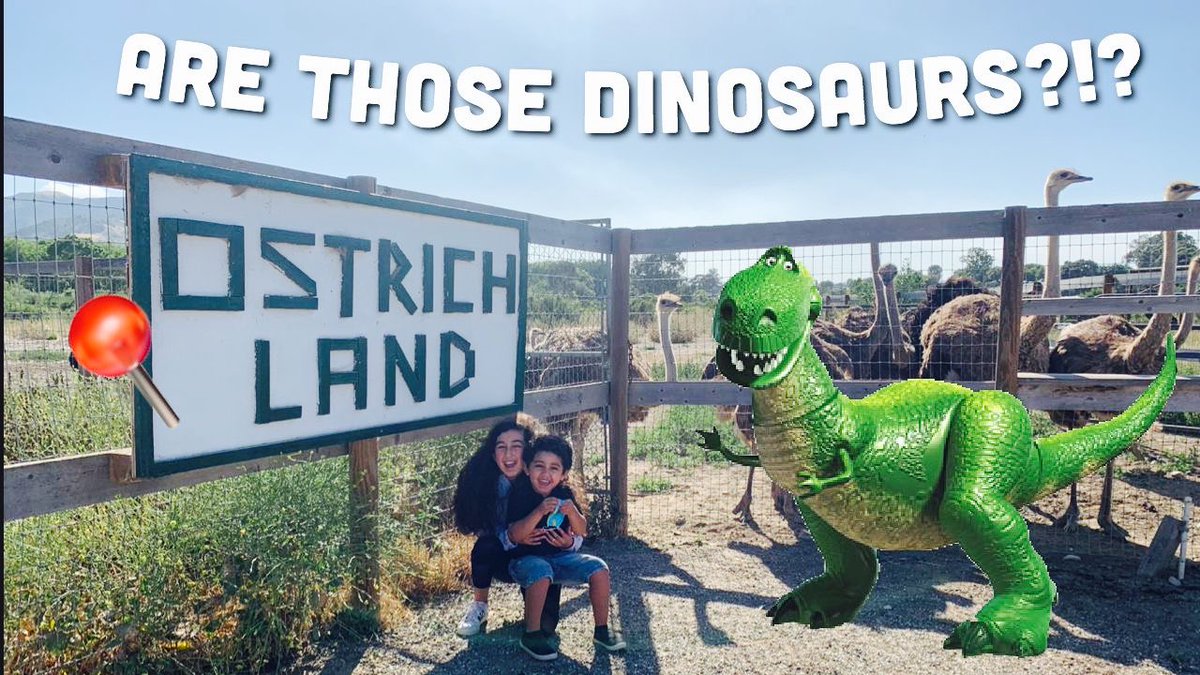 GoldenPetalss_'s tweet photo. https://t.co/Le59rZPo3O check out our NEW video on Youtube! 🎬Ostrich land, USA! Super funny 😂. A must seeee!! @dplat420 https://t.co/AQVfIoqhd4