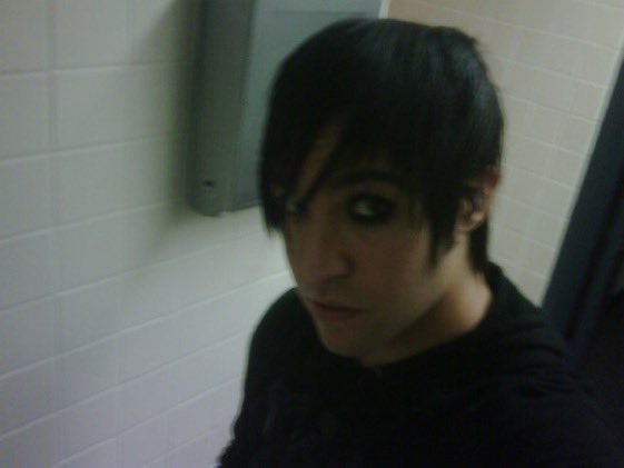 Eonycteris spelaea - also known as the cave nectar bat