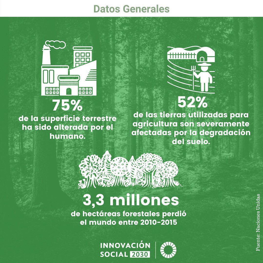 Innovación Social 2030 tweet media