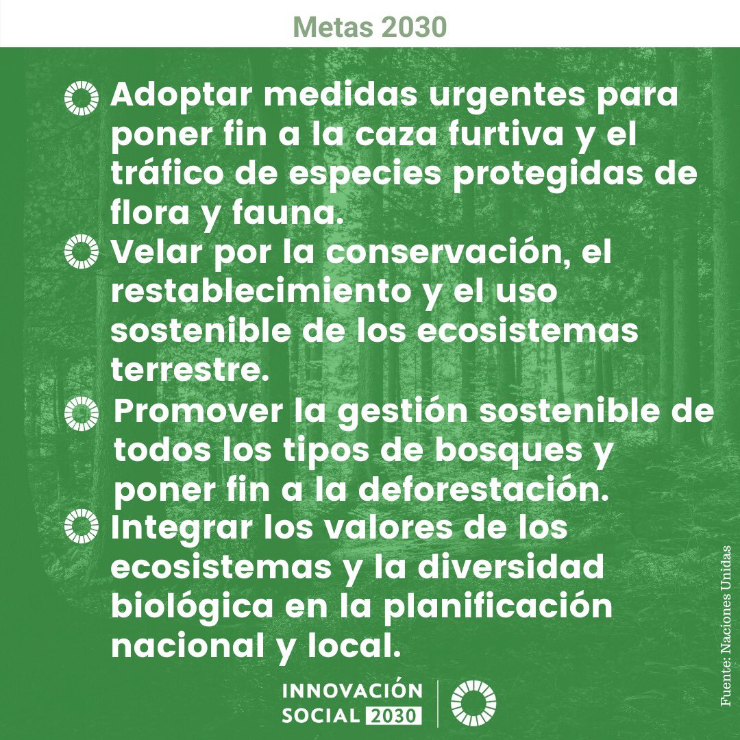 Innovación Social 2030 tweet media