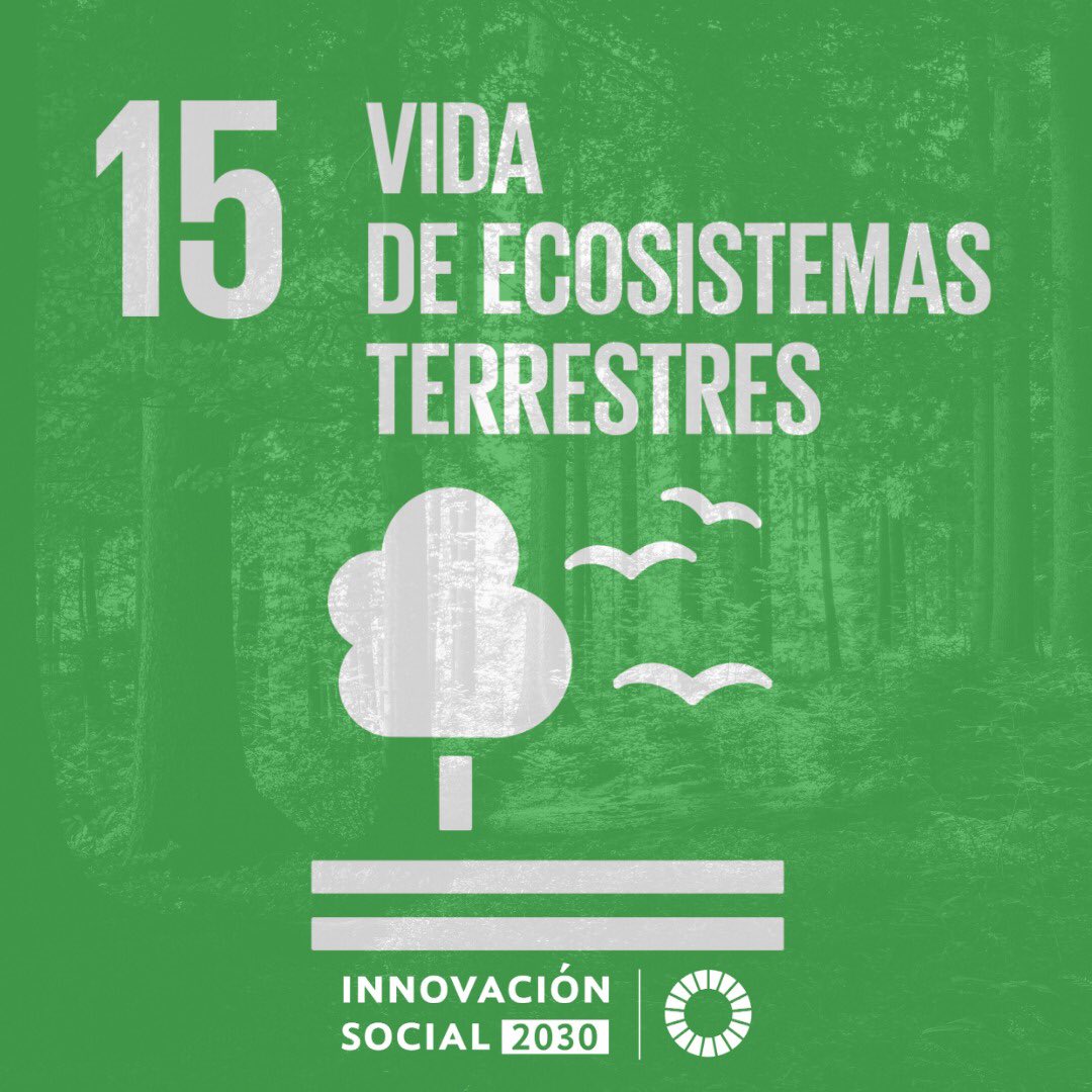 Innovación Social 2030 tweet media