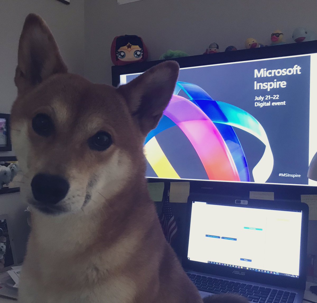 CeBrusa's tweet photo. @gavriels1 Hiro joining #MSInspire #PetsofMSinspire #MSPartner https://t.co/RijQjoGe7q