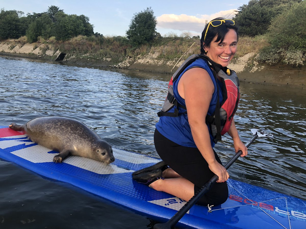 active360's tweet photo. Another seal encounter on the Thames. Just a teaser as we have it all filmed and what happened next is a scream #Thames #active360 https://t.co/ybmRo5Qz0q