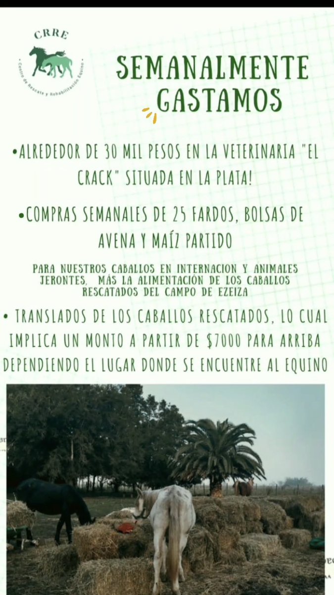 caballos_crre's tweet photo. Ayudanos a sustentar los tratamientos, traslados y alimentación de los caballos en internación! 

𝚂𝚎́ 𝚙𝚊𝚛𝚝𝚎 𝚍𝚎𝚕 𝚌𝚊𝚖𝚋𝚒𝚘. 𝙲𝚊𝚍𝚊 𝚟𝚎𝚣 𝚜𝚘𝚗 𝚖𝚊́𝚜 𝚛𝚎𝚜𝚌𝚊𝚝𝚊𝚍𝚘𝚜, 𝚢 𝚎𝚕 𝚋𝚘𝚝𝚒𝚚𝚞𝚒𝚗 𝚗𝚘𝚜 𝚚𝚞𝚎𝚍𝚊 𝚌𝚑𝚒𝚌𝚘. 

👇🏽Para realizar tu donación👇🏽 https://t.co/pWj9g4L7B2