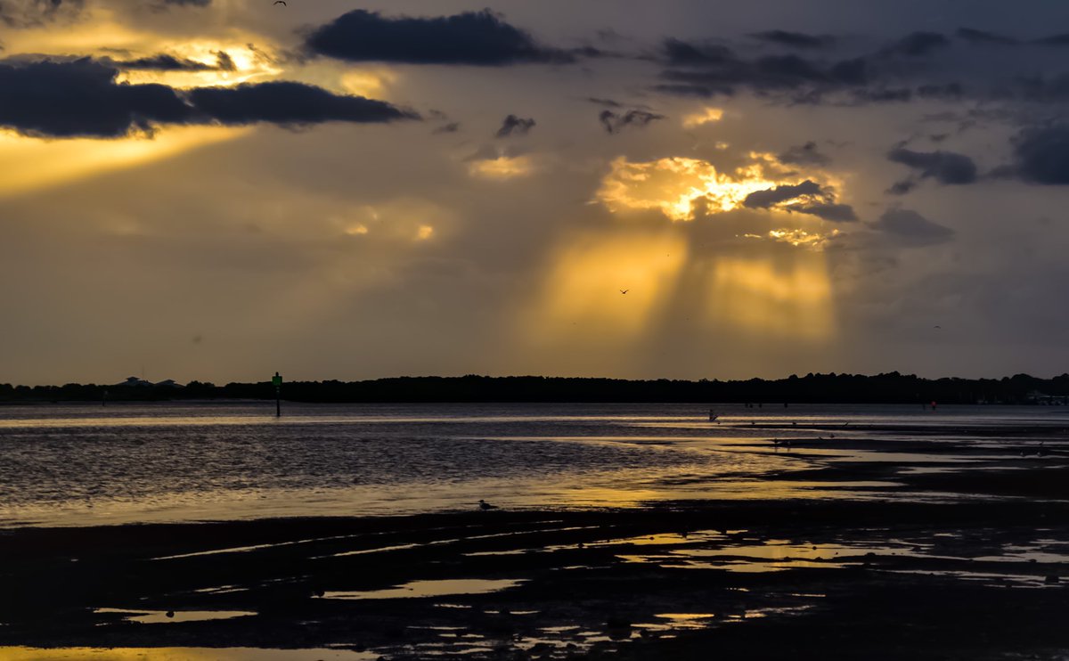 FloridianCreat1's tweet photo. Tonight’s Floridian Sunset ✌🏼⛈✌🏼 @StormHour 🖖🏼🌞🖖🏼 https://t.co/FNO3PSjr7Q