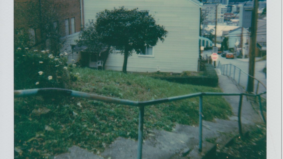 lzurowski's tweet photo. Someone on this street has a goat in their backyard, and I can hear it bleating as I walk up these steep sidewalk steps. #Pittsburgh #citysteps Visit 217 #SouthsideSlopes Photos + Story at https://t.co/Yp0VA7CRUU https://t.co/ctDpQjcp3P