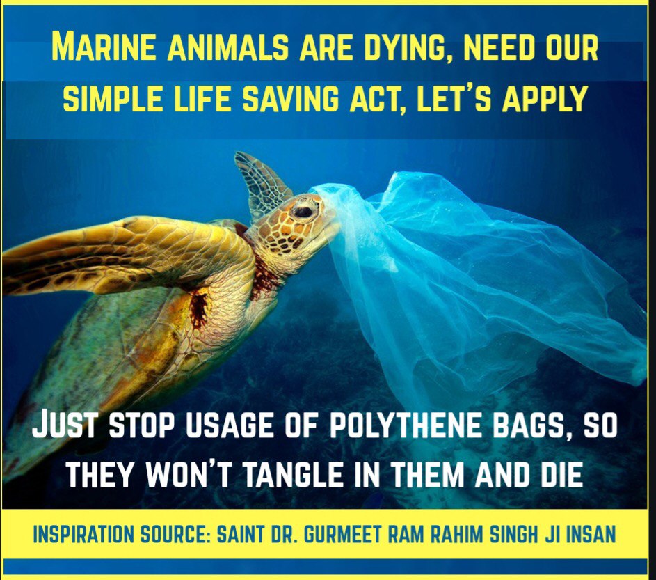 officialmsgfans's tweet photo. Polythene is very hazardous for our environment. It is destroying our flora &amp; fauna. We should use biodegradable measures &amp; help to protect our planet. With the motivation of St. @Gurmeetramrahim ji millions @derasachasauda pledged to #SwitchToClothBags instead of polythene bags. https://t.co/4Yynnbewc1