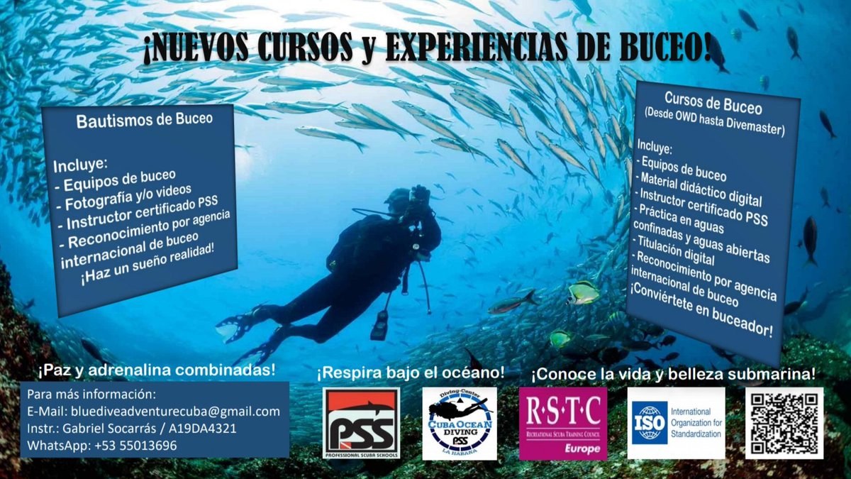 BlueDiveAdvent2's tweet photo. Si te emociona el océano y tienes 12 años en adelante...No te lo pierdas!! 😎Las inscripciones quedan abiertas. 🤿🇨🇺⚓ #bluediveadventure #diving #cuba #courses #PSSPEOPLE #PSS #ocean #evolution #diversion #passion #divingfun #havefun #happiness #underwater #inmersion #scuba https://t.co/6uUcdc71sH