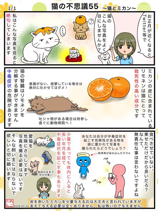 猫の不思議 を含むマンガ一覧 リツイート順 ツイコミ 仮