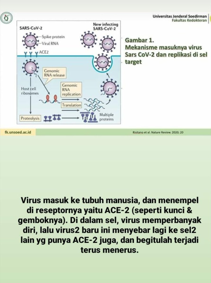 egie234's tweet photo. Berikut tulisan covid19 dari dosen kami Dr dr Wahyu Siswandari Sp. PK , semoga bisa dipahami oleh para netizen yang budiman https://t.co/OlEpjSlUHY
