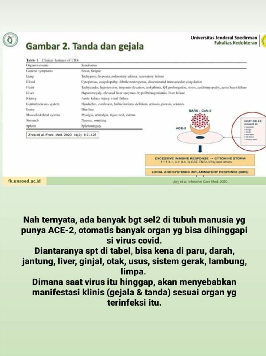 egie234's tweet photo. Berikut tulisan covid19 dari dosen kami Dr dr Wahyu Siswandari Sp. PK , semoga bisa dipahami oleh para netizen yang budiman https://t.co/OlEpjSlUHY